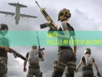 pubg电竞世界杯2024赛程时间最新攻略