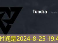 《dota2》Ti13Tundra战队成员名单完整攻略